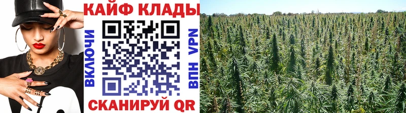 Наркошоп купить МАРИХУАНА  APVP  ГАШИШ  Меф  КЕТАМИН  Cocaine  МЕТАДОН  Новая Усмань