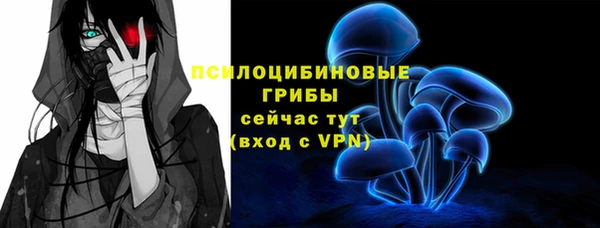 а пвп мука Липки