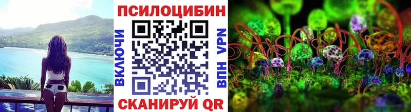Галлюциногенные грибы GOLDEN TEACHER  Купить закладки  Новая Усмань 